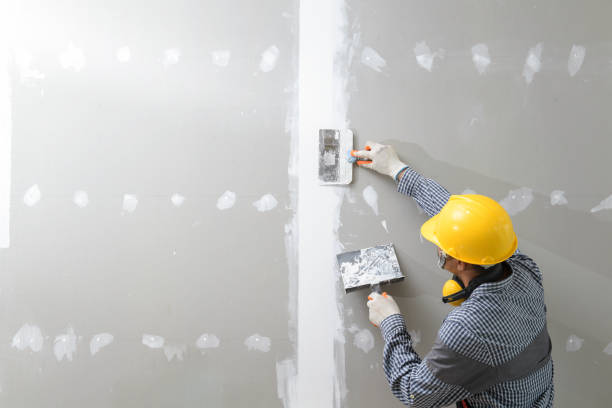  Cold Spring, MN Drywall & Painting Services Pros